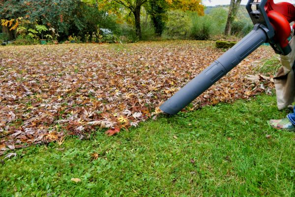 Leaf Vacuuming Service in North Little Rock