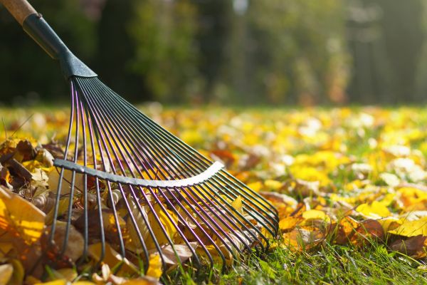 Leaf Raking Service in North Little Rock