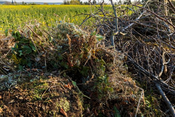 Brush Disposal in North Little Rock