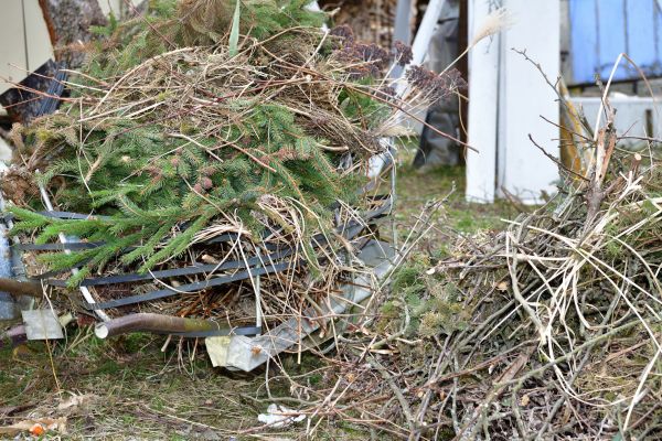 Yard Waste Removal Service in North Little Rock