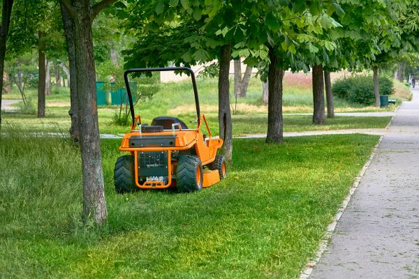 Landscaping Cleanup Service in North Little Rock