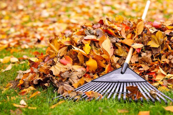 Yard Leaf Removal in North Little Rock