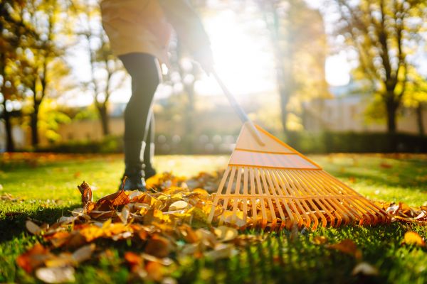 Leaves Raking in North Little Rock