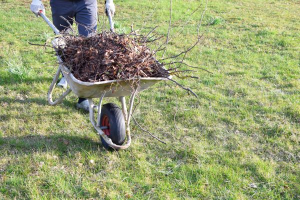Yard Brush Removal in North Little Rock