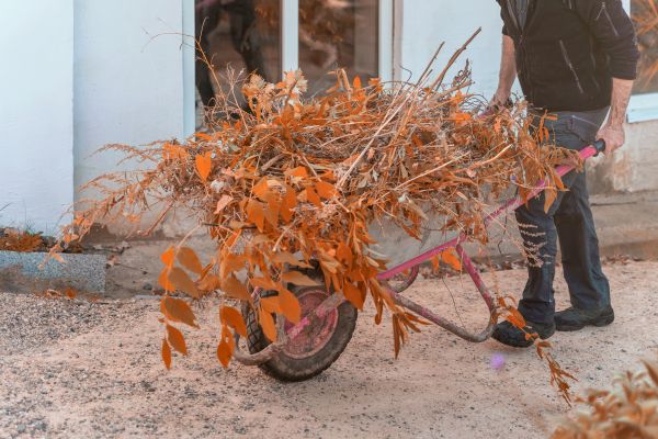 Lawn Debris Cleanup in North Little Rock