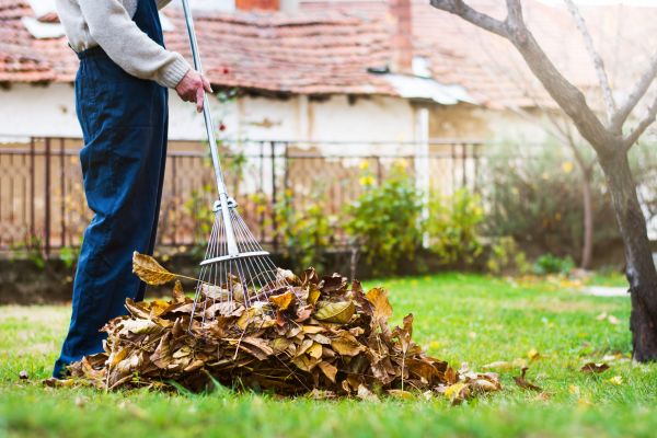 Spring Lawn Cleanup in North Little Rock