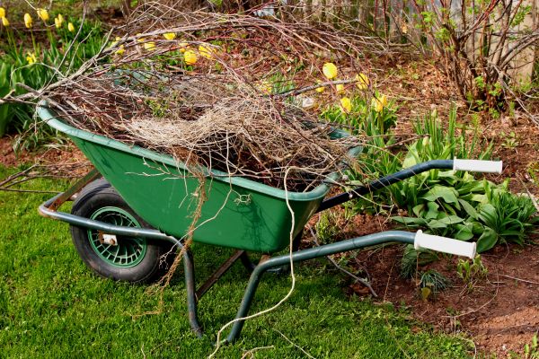 Lawn Waste Removal in North Little Rock