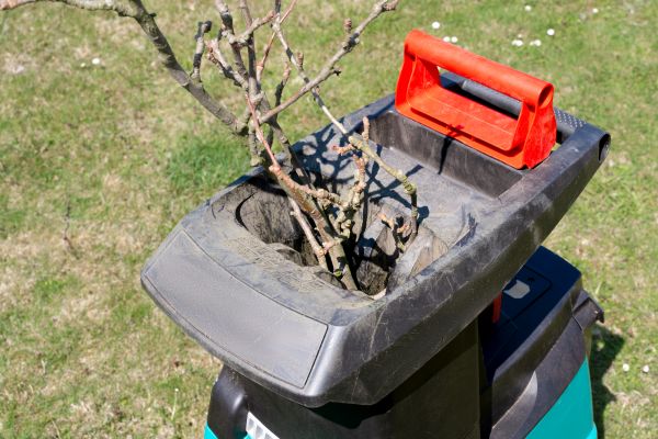Brush Cleanup Service in North Little Rock