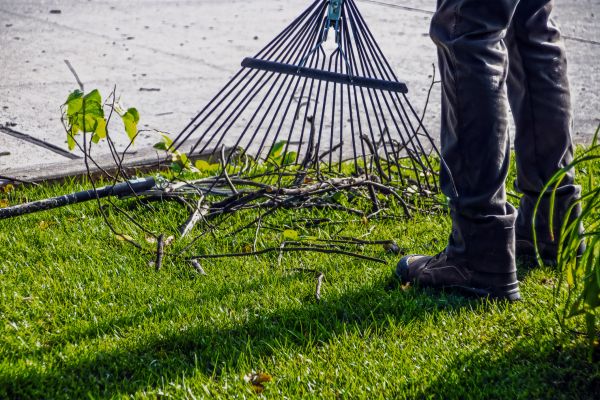 Yard Debris Cleanup in North Little Rock