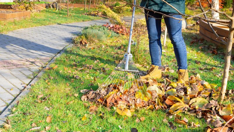 Leaf Raking and Collection