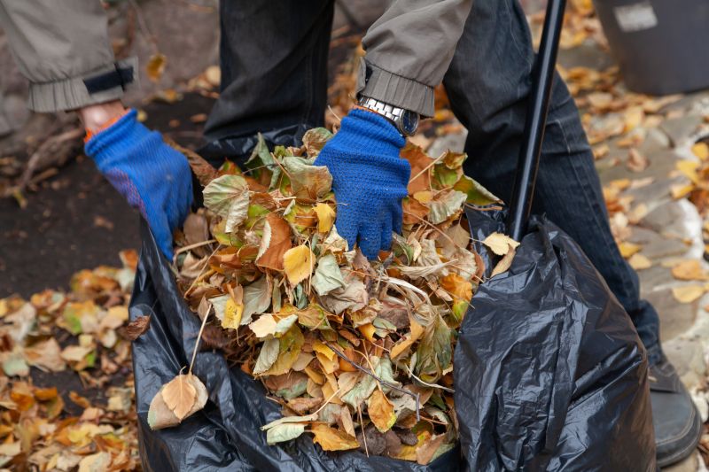 Autumn Leaf Cleanup in Progress